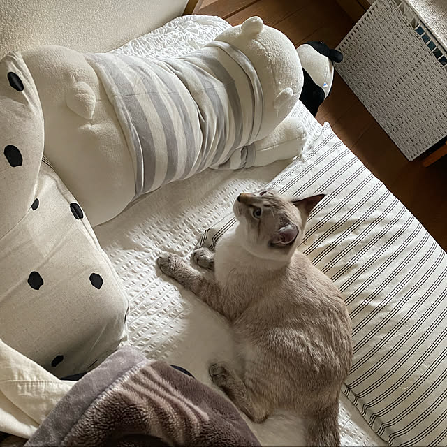 miiyさんの実例写真