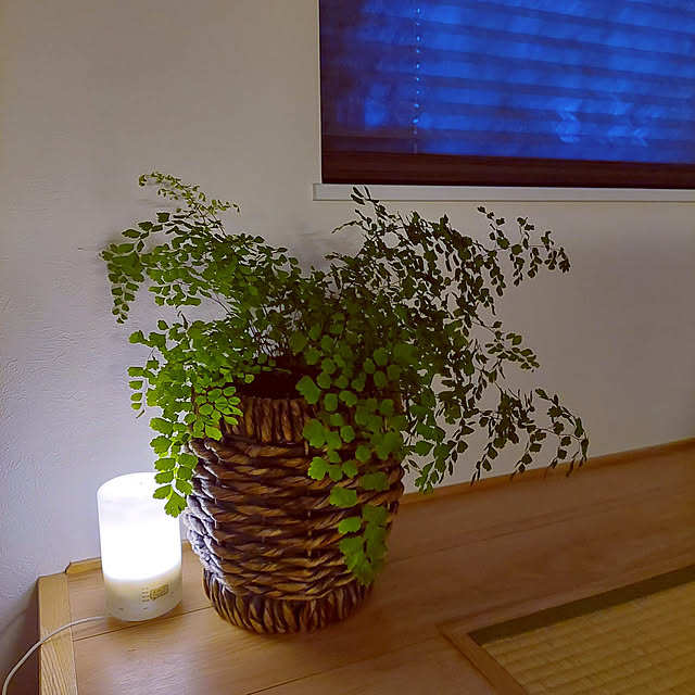 heyasukiさんの実例写真