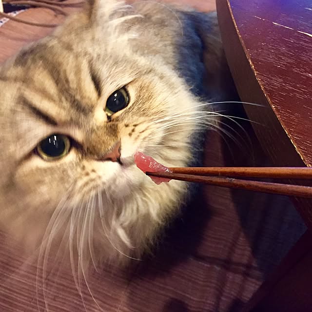 butachanさんの実例写真