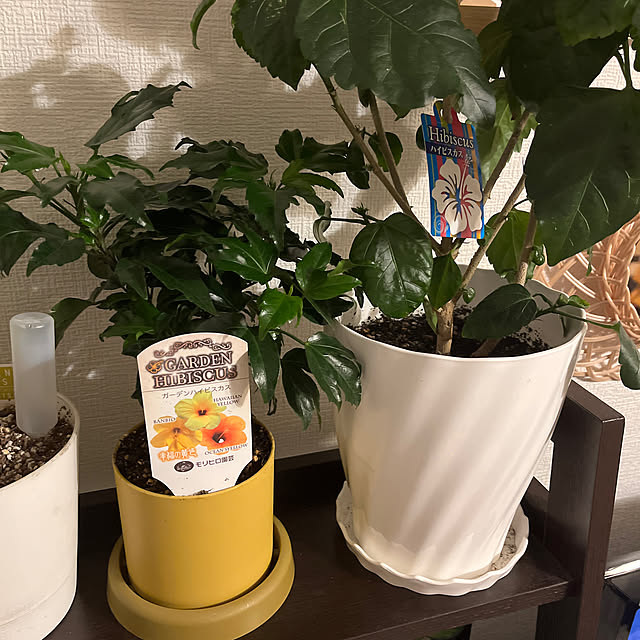 R.S.Kさんの実例写真