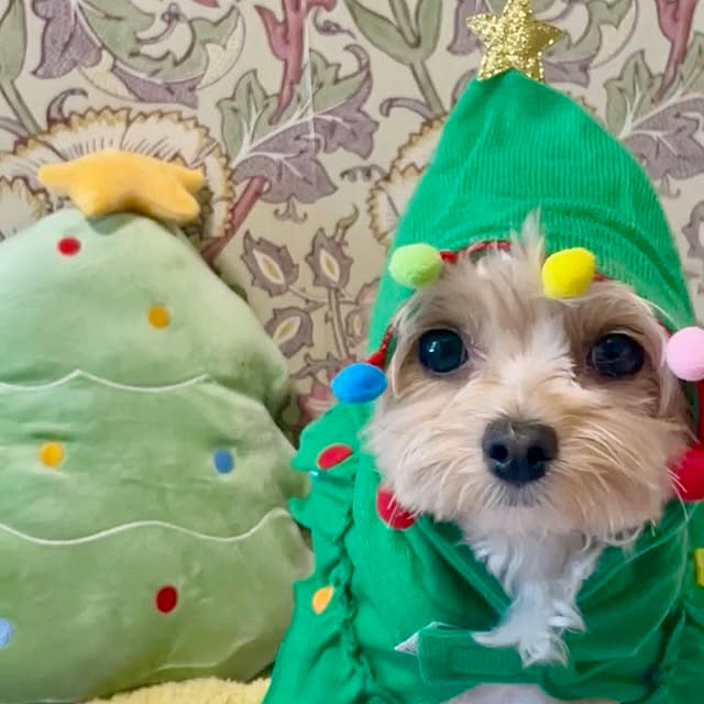 miyuさんの実例写真