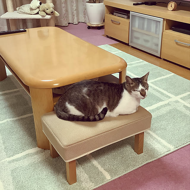 haruminさんの実例写真