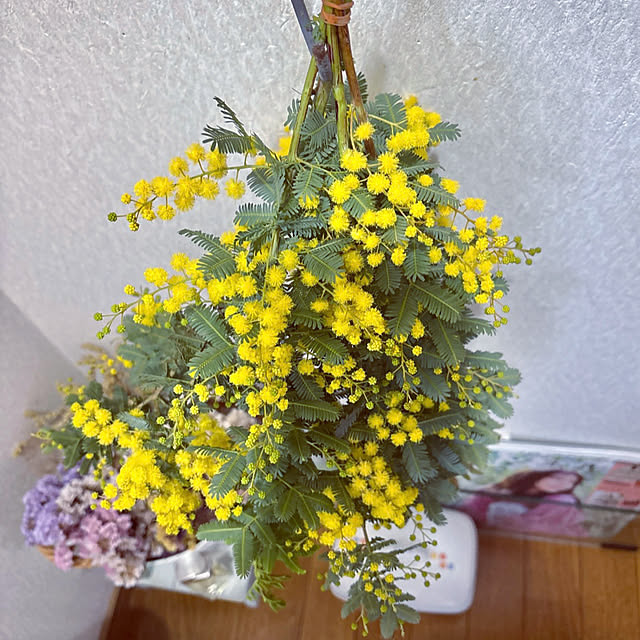 takakoさんの部屋