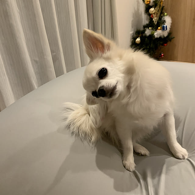 maruyanさんの実例写真