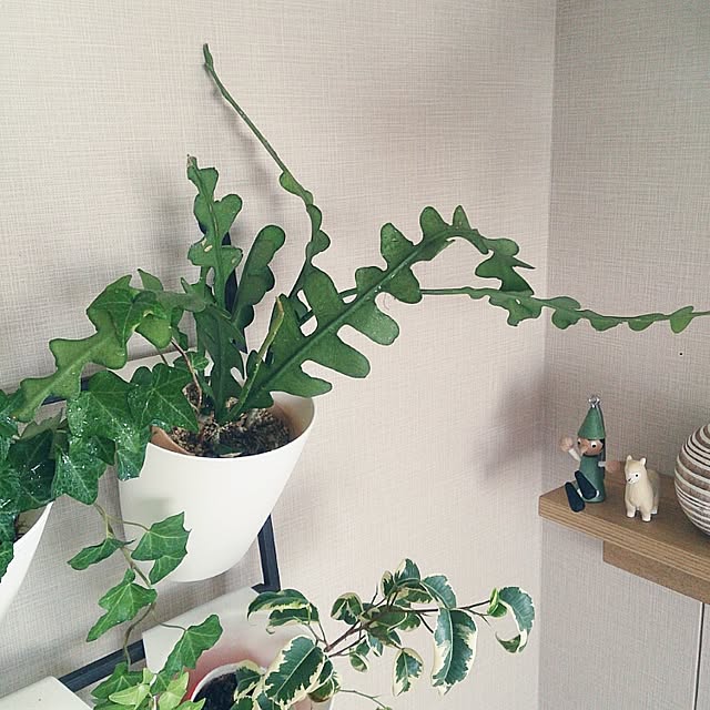 abeさんの実例写真