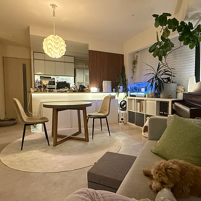 greenさんの部屋