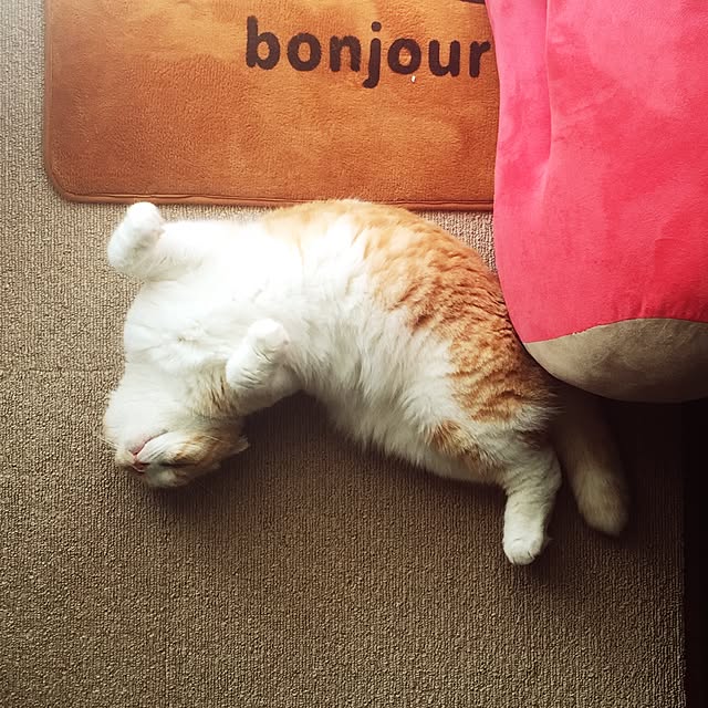mochiさんの実例写真