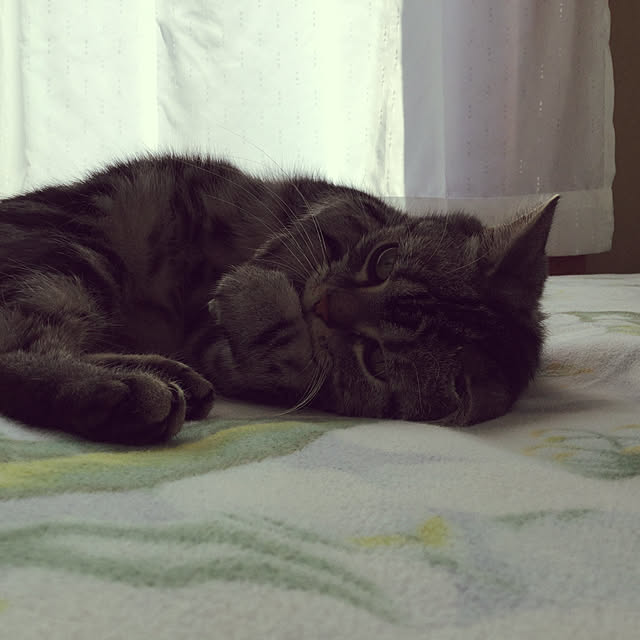richanさんの実例写真