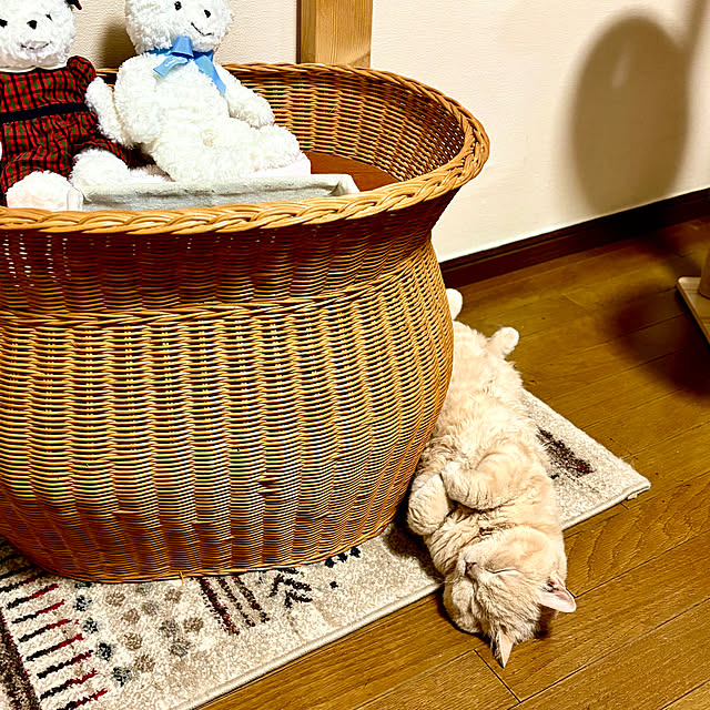 naokoさんの実例写真