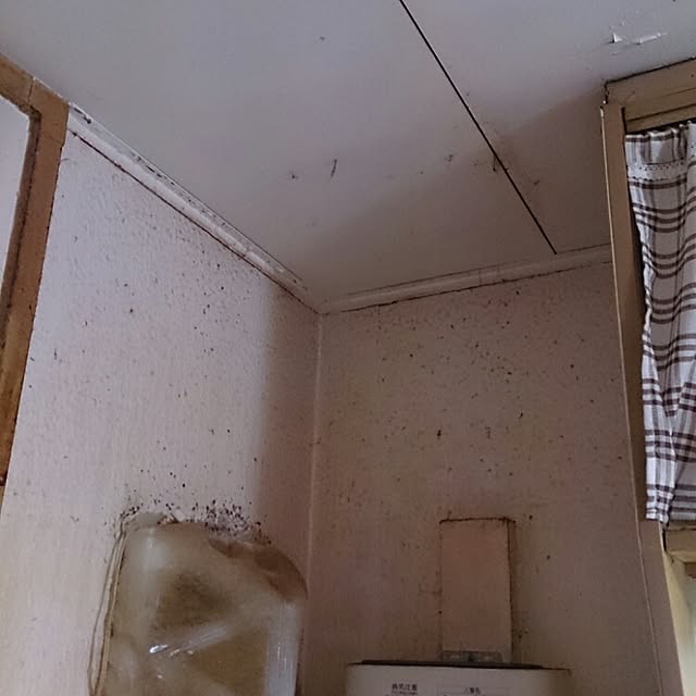 miporin0711さんの実例写真