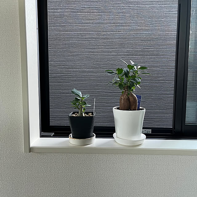 mikeさんの実例写真