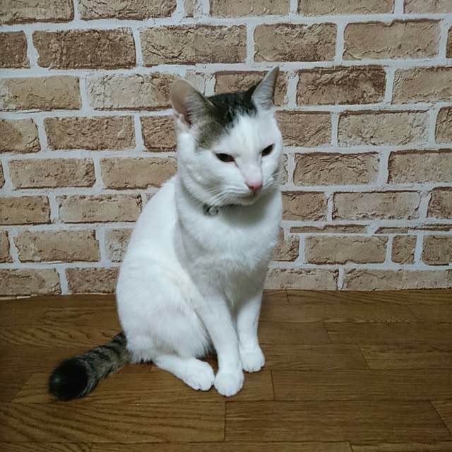 Marinyanさんの実例写真