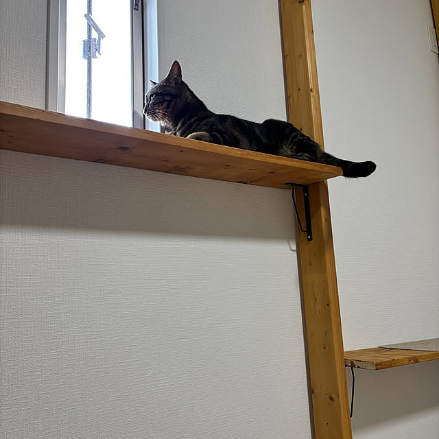 Shosaさんの部屋