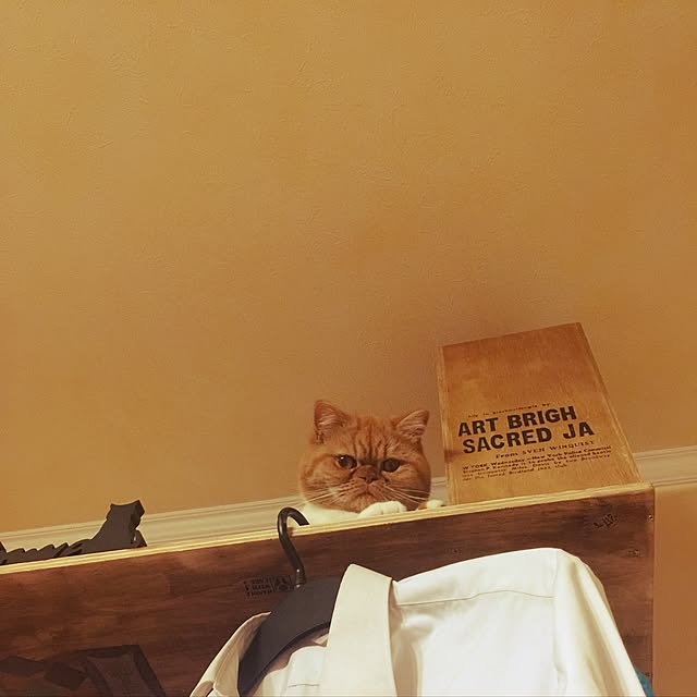 anmituさんの実例写真