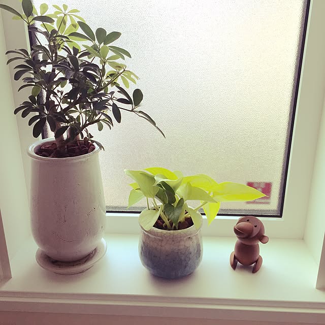 iwaさんの実例写真