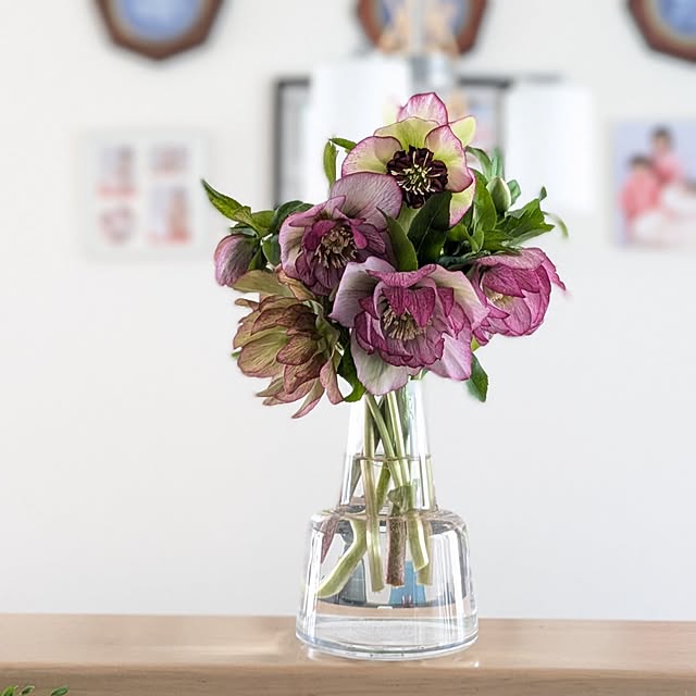 naoさんの実例写真