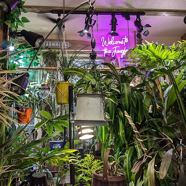 リビング/ひとり暮らし/ワンコと暮らす家/LEDサインプレート/観葉植物のある暮らし...などのインテリア実例 - 2024-11-09 04:55:20