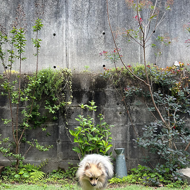 uninekoさんの部屋