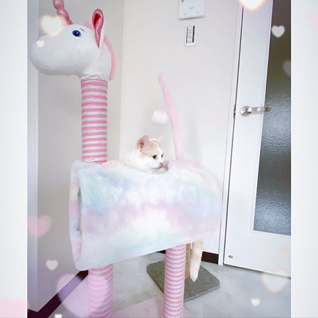 jewellunaleonさんの実例写真