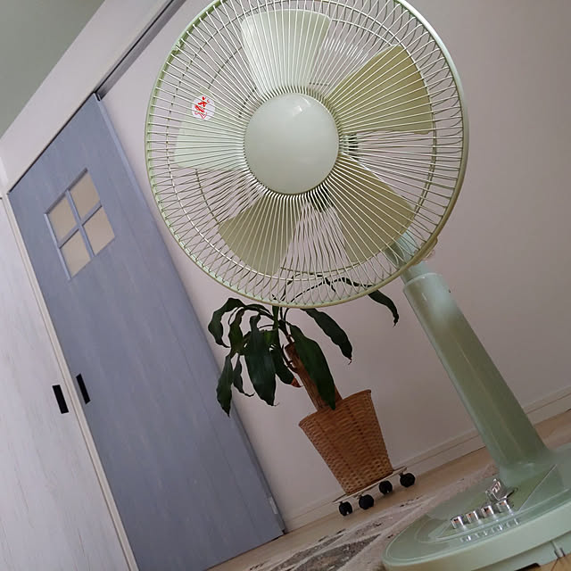 ikkoさんの実例写真