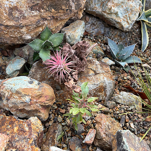 bonjiri0824さんの実例写真