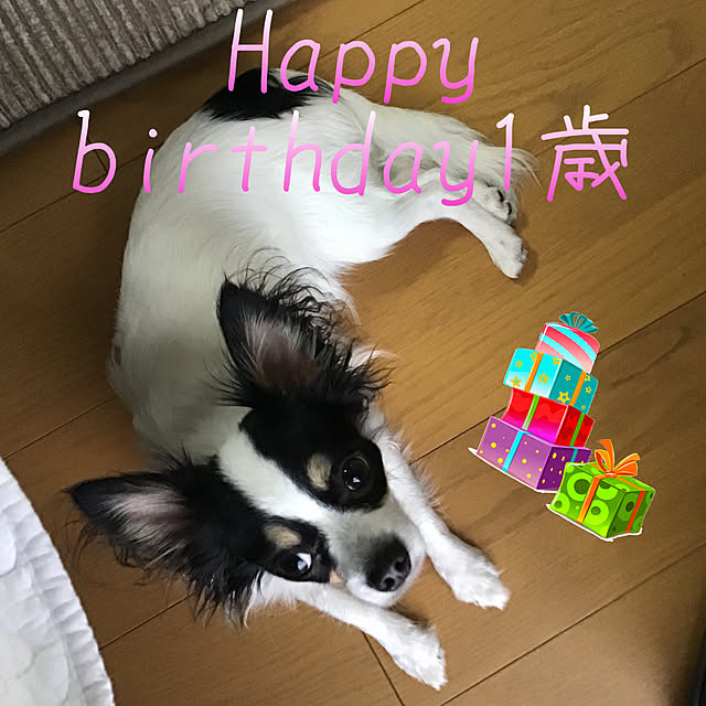 sakuさんの実例写真