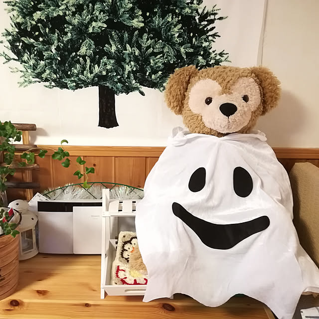 satosanさんの実例写真