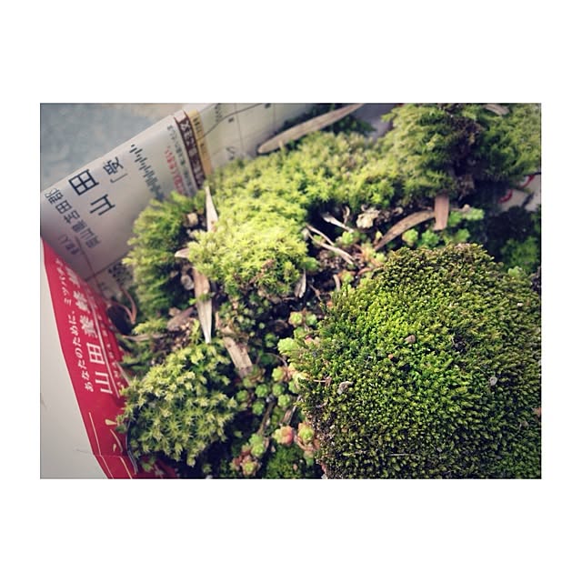 juria.さんの実例写真