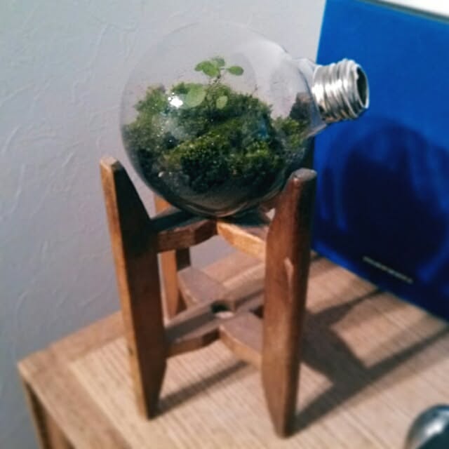 tkさんの実例写真