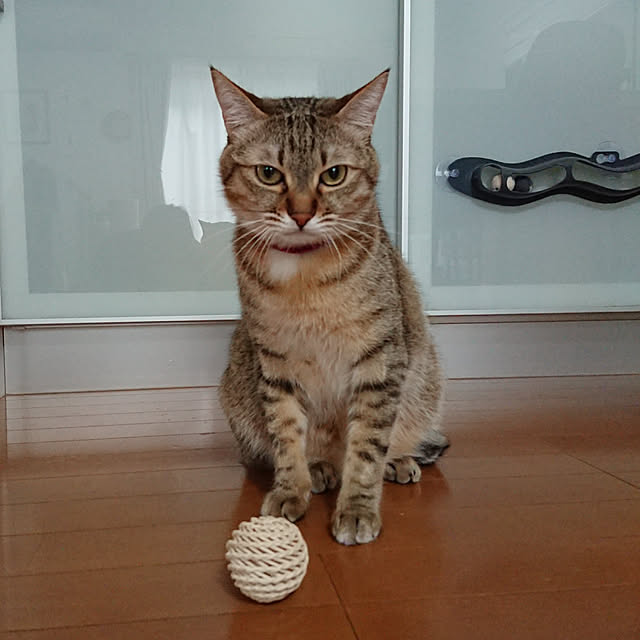 maikyさんの実例写真