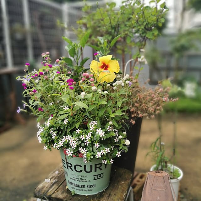 haxtusi301さんの実例写真
