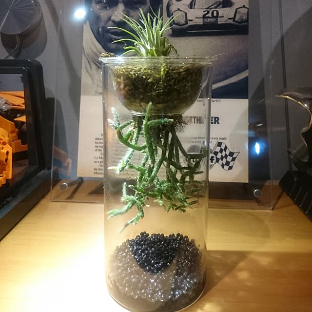 Type.Rさんの実例写真