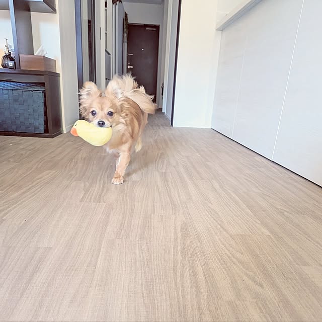 noahさんの部屋