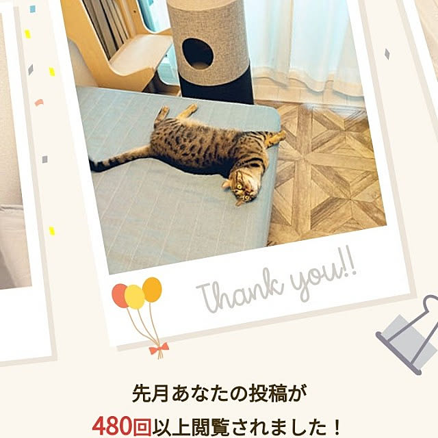 canekoさんの実例写真