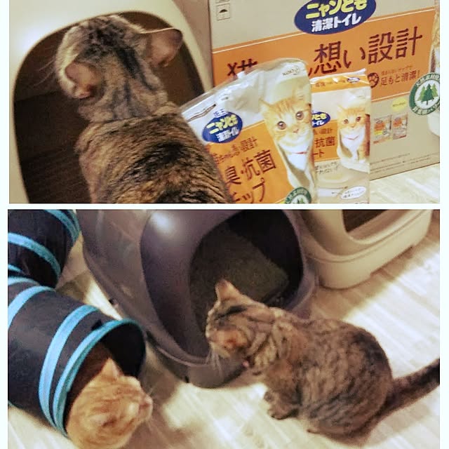 runaさんの部屋