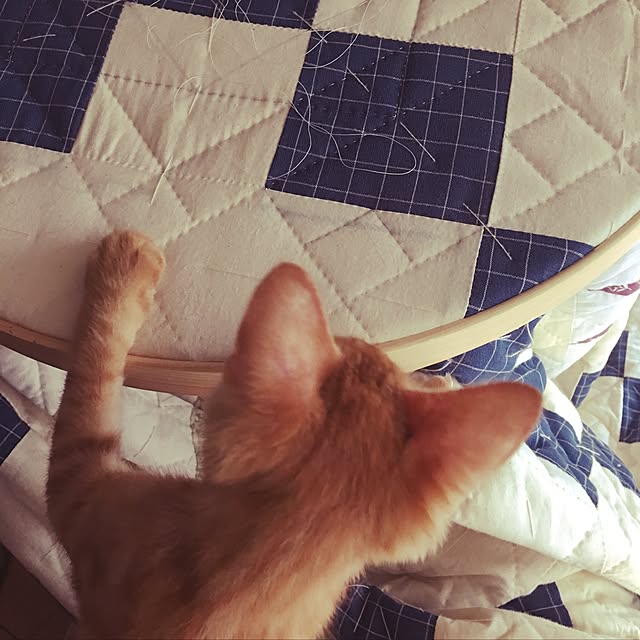 Miさんの実例写真