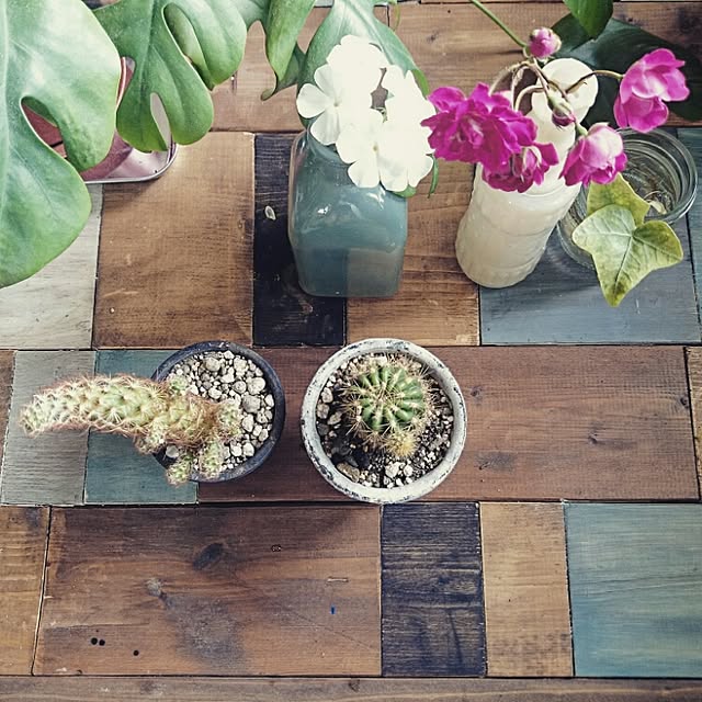 cafe-plageさんの実例写真