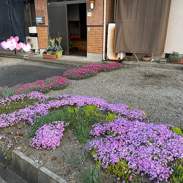 Alzさんの実例写真