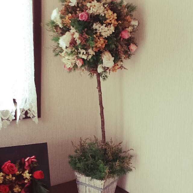 Naomiさんの実例写真