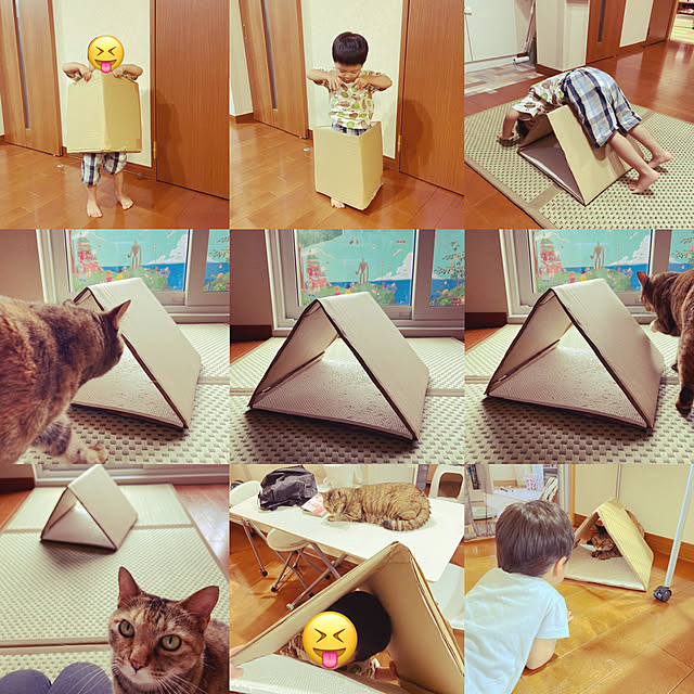 hansho.sさんの実例写真
