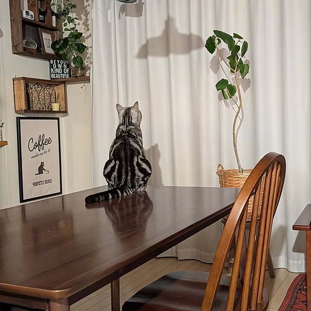 lovepeaceさんの部屋