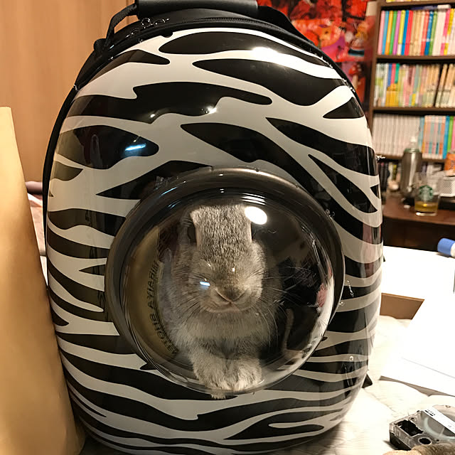 0shucream45xxさんの実例写真