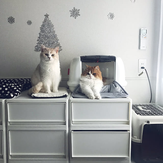 H.Tさんの実例写真