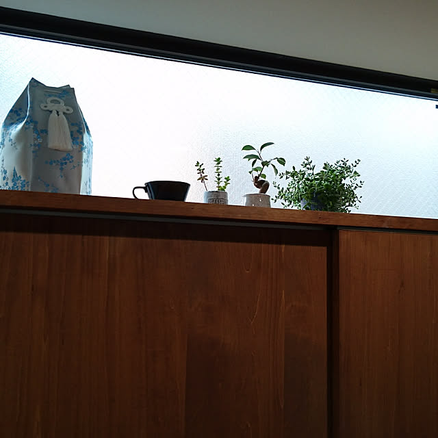 Kazuさんの実例写真