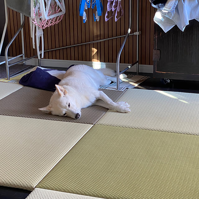 tanboさんの部屋
