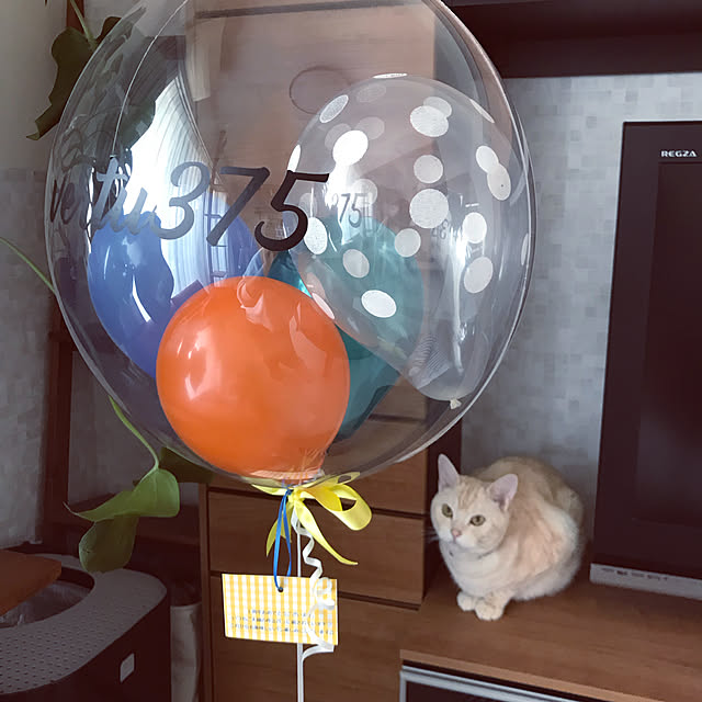 hiyupan88さんの実例写真