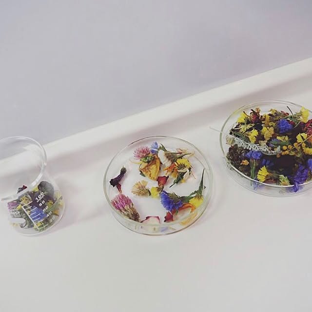 natsu._.logさんの実例写真