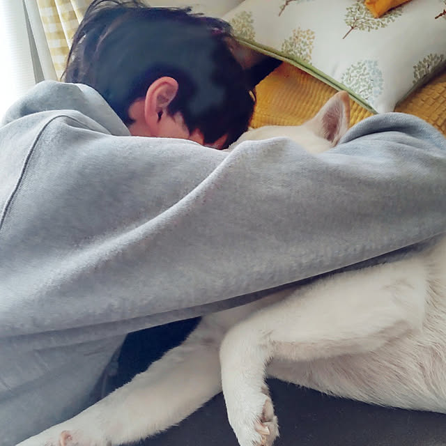 yukinkoさんの実例写真
