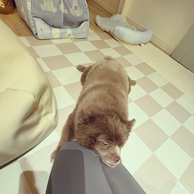 RYOさんの部屋