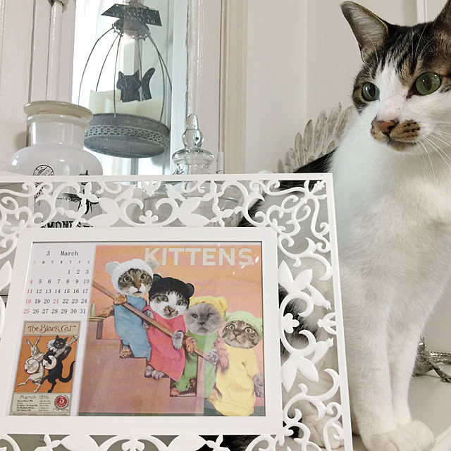 yuchiさんの実例写真